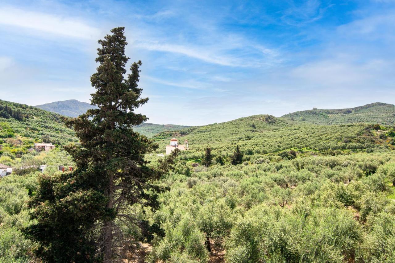 Achilleas Deluxe Αpartment -Pet Friendly-Parking-Mountain View Villa Kotsianá Eksteriør bilde