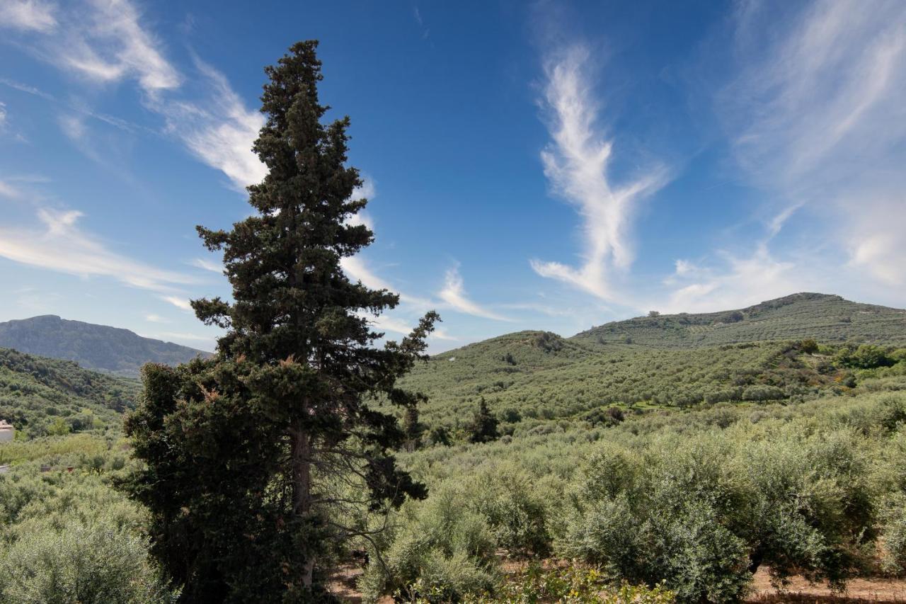 Achilleas Deluxe Αpartment -Pet Friendly-Parking-Mountain View Villa Kotsianá Eksteriør bilde