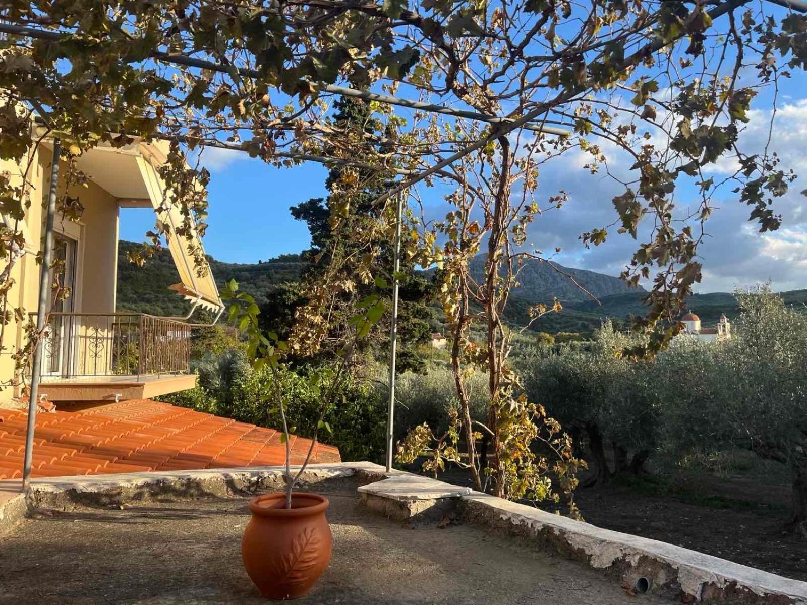 Achilleas Deluxe Αpartment -Pet Friendly-Parking-Mountain View Villa Kotsianá Eksteriør bilde