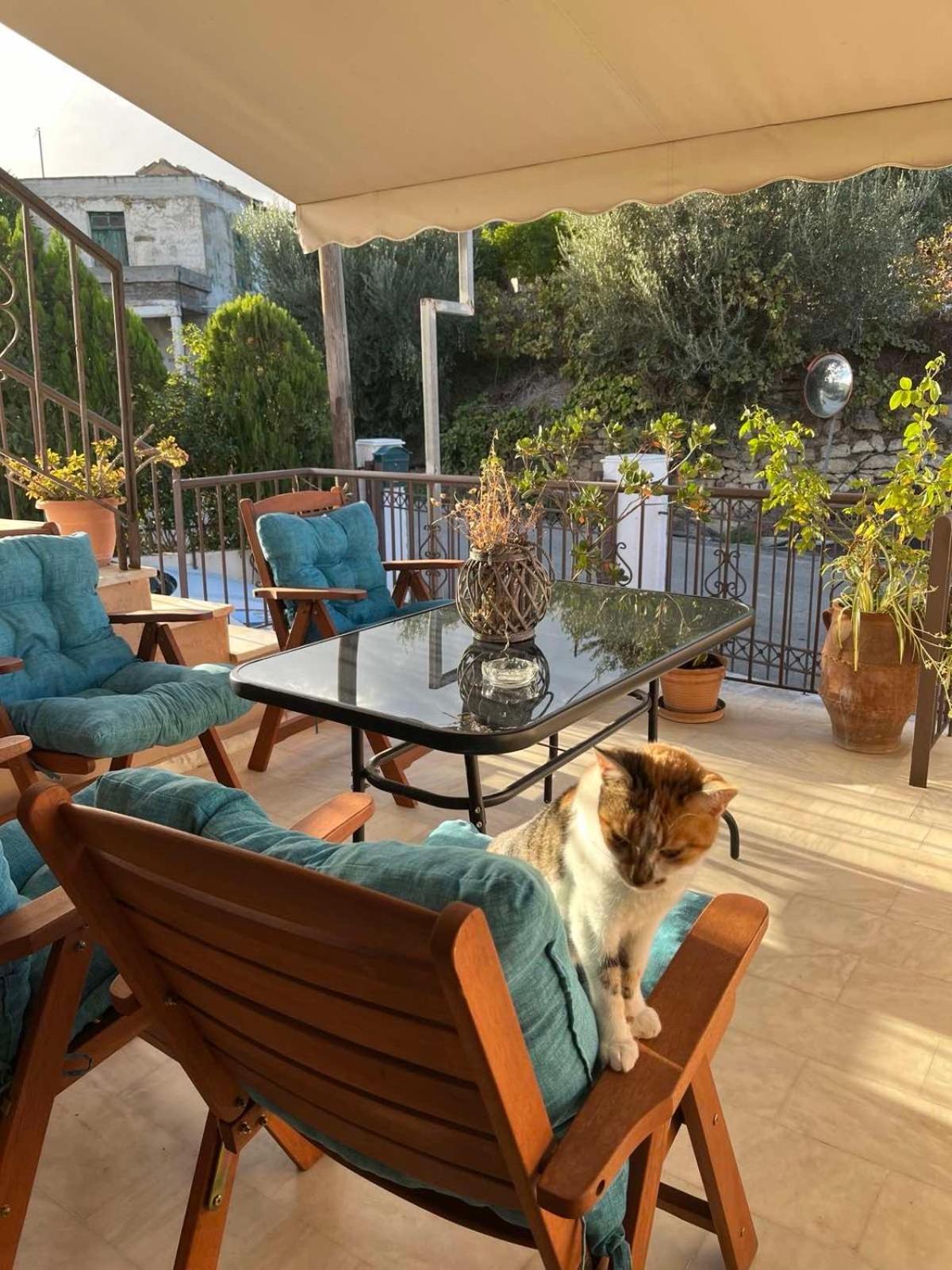 Achilleas Deluxe Αpartment -Pet Friendly-Parking-Mountain View Villa Kotsianá Eksteriør bilde