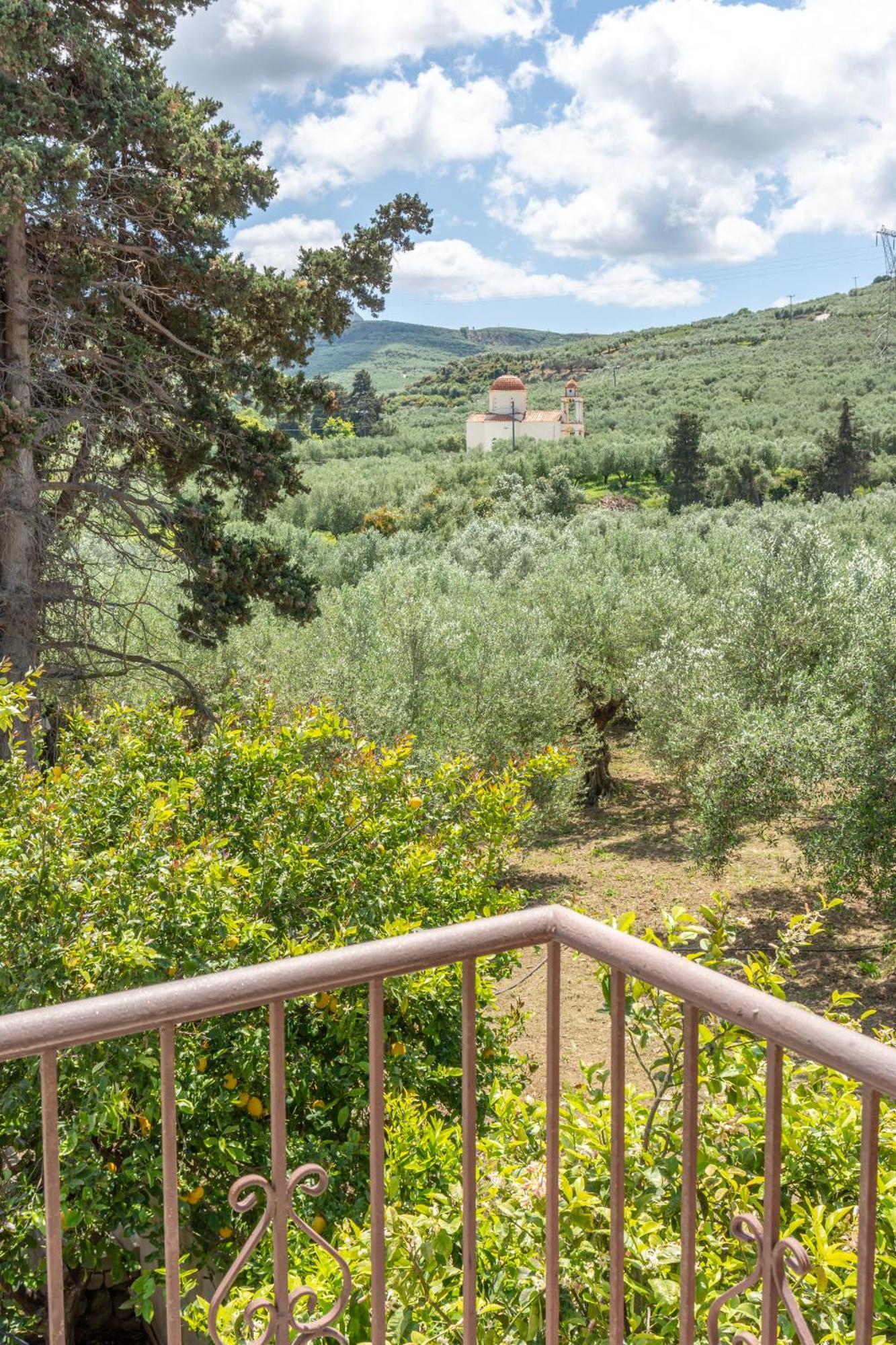 Achilleas Deluxe Αpartment -Pet Friendly-Parking-Mountain View Villa Kotsianá Eksteriør bilde
